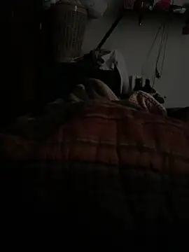 simonovic online show from February 24, 3:46 pm