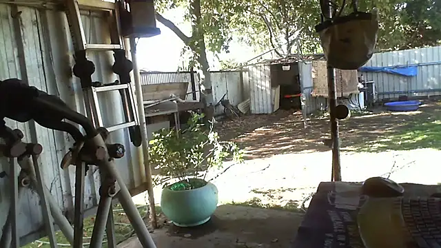 herbie010666 online show from September 28, 5:38 am