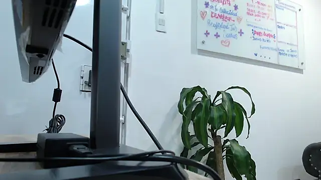  kishy alec online show from February 21, 1:22 am