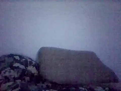 Fresexnow online show from December 21, 2:41 am