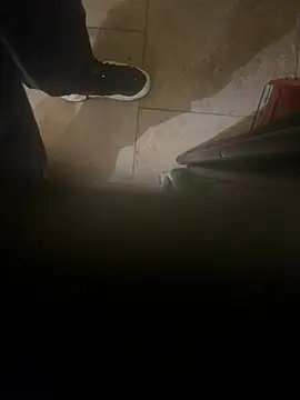 dingoding online show from January 8, 4:44 am