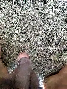 Gopal1243 online show from February 19, 8:11 am