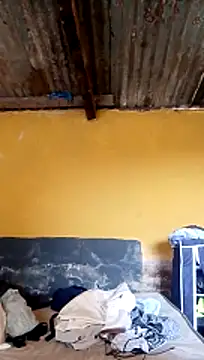 LULE37587001 online show from March 20, 5:55 am