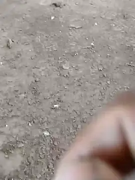 dheck2020 online show from January 7, 6:45 pm