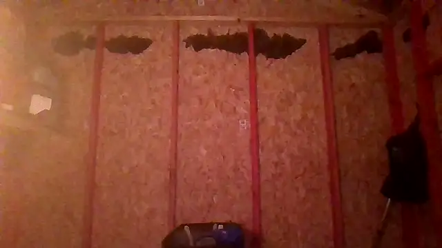 prettyboytatted69 online show from April 9, 7:03 am