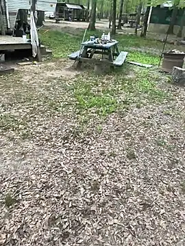 Themechanic420 online show from April 4, 2:58 pm