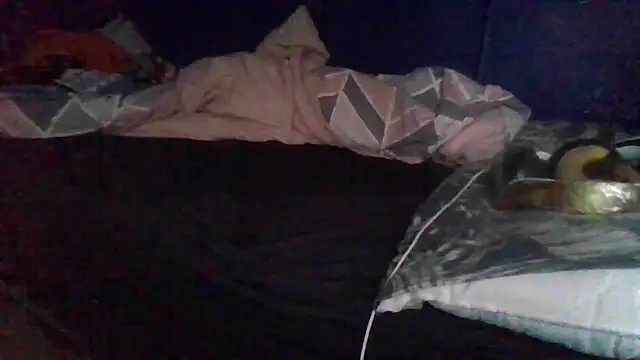 Mr big cock 2834 online show from December 13, 2:05 pm