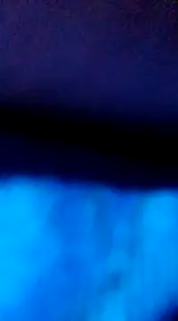 Longlund9 online show from December 7, 11:51 am