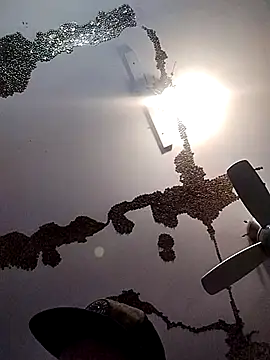 ColdVisitor online show from March 21, 6:38 am