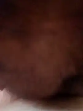 Zameer22xh online show from January 19, 4:26 am