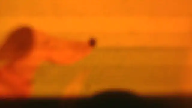 mr key  online show from October 19, 11:02 am