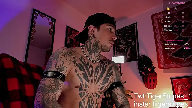 TigerStripes1  online show from March 27, 10:27 am