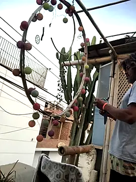 kvr27 online show from December 3, 11:16 am