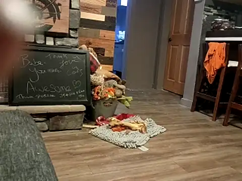 Donglong80 online show from November 25, 12:07 pm